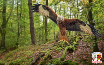2019 : une décision forte pour la nature et les générations futures