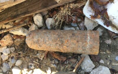 August 2016: Eine unerwartete Entdeckung in der Gersbachstraße