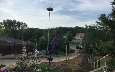 Le chemin du cimetière, une réalisation du mandat 2014–2020