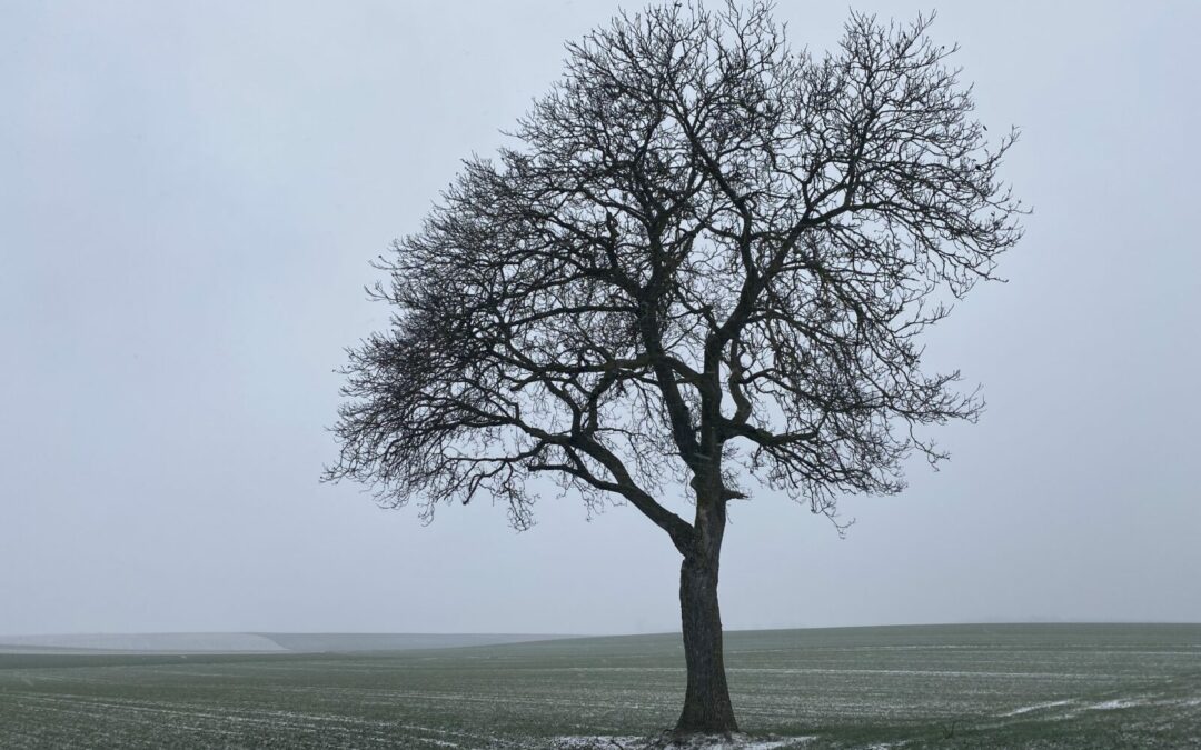 Ce qui nous rassemble à Muespach et nous met en mouvement 