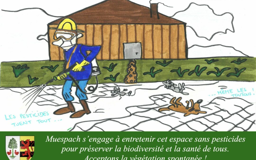 Dessin d'enfant représentant les dangers des produits phytosanitaires